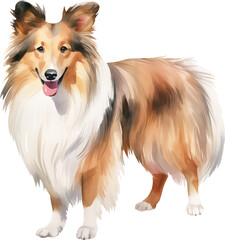 Shetland sheepdog watercolor illustration created with Generative AI technology