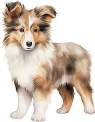 Fototapeta premium Shetland sheepdog puppy watercolor illustration created with Generative AI technology