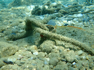 Typical illegal anchoring undersea, Aegean Sea, Greece, Halkidiki. Sea pollution and danger to divers and swimmers.
