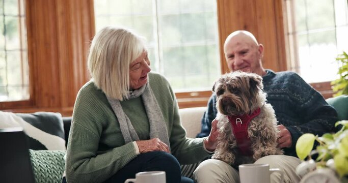 Senior couple, dog and couch in home with care, talking and love with bonding, relax and stroke with kindness. Elderly woman, old man and animal with play, smile and pet with chat on living room sofa