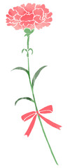 リボンのついたカーネーションのイラスト　