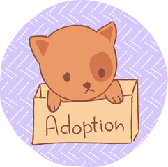 Kawaii redhead cat in the box. Pet adoption concept.