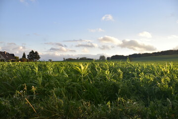 Landschaft in der Sonne bei Elze