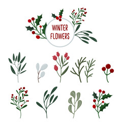 Set of Christmas plants. Winter botanical elements pack. Festive Xmas decor design, plant branches, flora, foliage