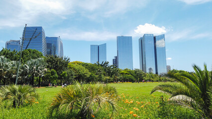 Obraz premium São Paulo, Brazil. Park on a sunny day