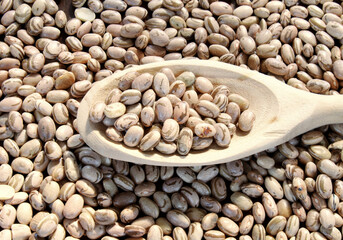 Brazilian beans. Carioca beans in a spoon. Grains background