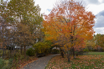Corktown during fall in Toronto