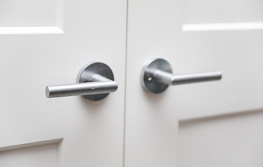 door handles in soft, natural light. Elegance and accessibility blend in timeless design, welcoming entryways with an inviting touch of class