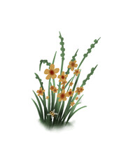 Cute watercolor flowers 