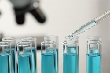 Dripping liquid from pipette into test tube in laboratory, closeup