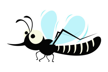 mosquito vector of dengue, zika, chikungunya disease.