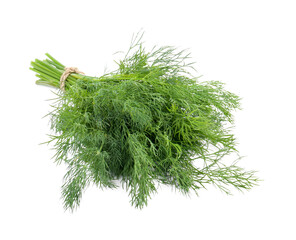 Bunch of fresh dill isolated on white