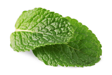 Fresh green mint leaves isolated on white