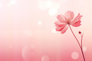 Soft focus of a flower on a pink background in the style of bokeh panorama with copy space