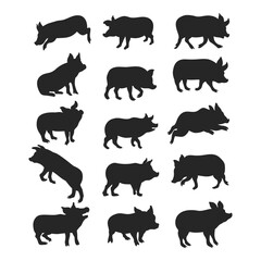 Vector pig silhouette on white background