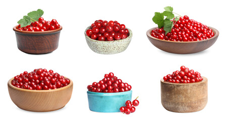 Ripe red currants in bowls isolated on white, set
