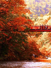 晩秋に染まる定山渓温泉と二見吊り橋