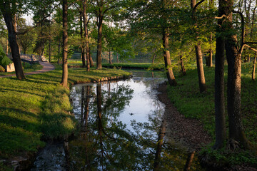 Water maze channel near the White Lake in Gatchina Park on a sunny autumn morning, Gatchina, St. Petersburg, Russia