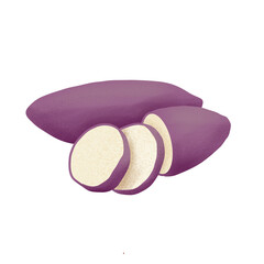 sweet potato illustration