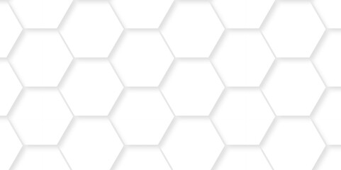 Abstract background with hexagons White Hexagonal Background. Luxury honeycomb grid White Pattern. Vector Illustration. 3D Futuristic abstract honeycomb mosaic white background. geometric mesh cell.