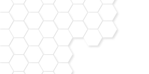 White Hexagonal Background. Luxury honeycomb grid White Pattern. Vector Illustration. 3D Futuristic abstract honeycomb mosaic white background. geometric mesh cell texture.