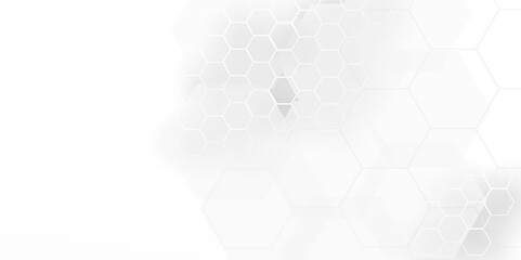Background with hexagons White Hexagonal Background. Luxury honeycomb grid White Pattern. Vector Illustration. 3D Futuristic abstract honeycomb mosaic white background. geometric mesh cell texture.