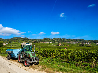 Swiss Wine Region