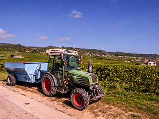 Obraz premium Tractor In Situ