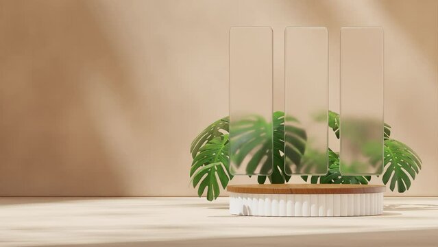 wood and white cylinder podium looping seamless shadow animation with glass and monstera house plant, 3d footage render blank mockup
