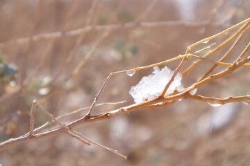 Atacama Desert Winter Dress - Snowfall between the Andes and Aridity