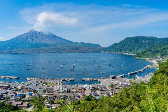 協和展望所（にこ展望所）から見た桜島
