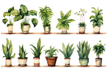 Fototapeta na wymiar House Plants Watercolor Set
