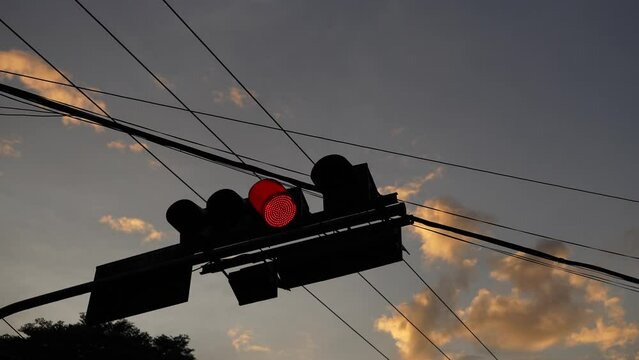 Red traffic lights in the evening atmosphere and birds flying