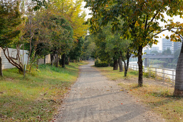 紅葉し始めた秋の散歩道