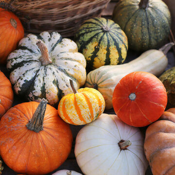 pumpkins at the autumn market. AI generated Images