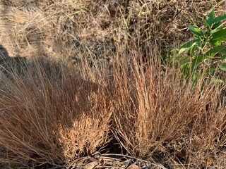The view of the water in the dam during the dry season with its rocks is very beautiful
