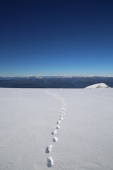footprints in snow