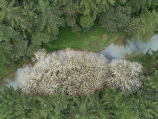 Kerosene Creek, thermal waters in Rotorua, New Zealand