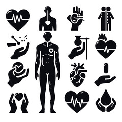 Human Body Internal Organs and Parts vector icon