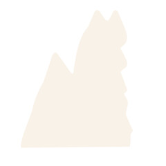 pieces of torn paper