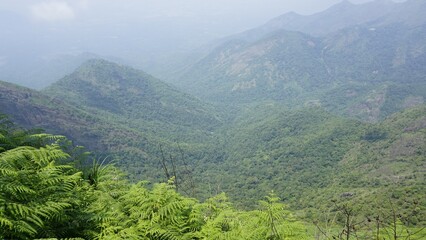 Beautiful dense green lush landscapes of kodaikanal hillstation filled with mist and cloudy sky.