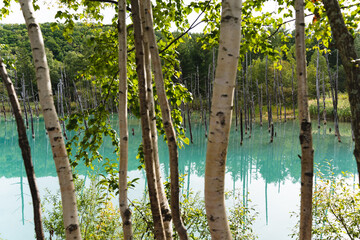 北海道 青い池