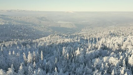 Aerial view of a fairytale frosty mountain forest landscape. - Powered by Adobe