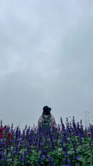 Winter travel relax vacation concept, Thailand mon jam morning landscape garden