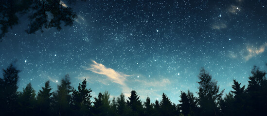 Sky at the forest at night, point of view from ground - obrazy, fototapety, plakaty