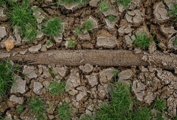 dry soil cracked earth texture. dry soil texture