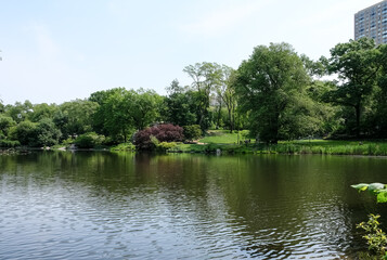 View of The Pond, one of seven bodies of water in Central Park located near Grand Army Plaza, across Central Park South from the Plaza Hotel, and slightly west of Fifth Avenue. Manhattan, NYC