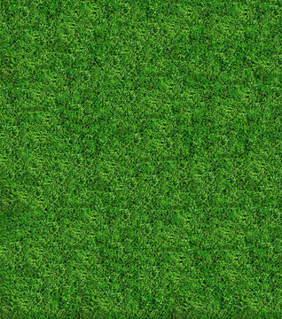 Basic Grass Photo Realistic (4500x5100)