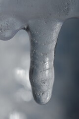 closeup of frozen icicle 
