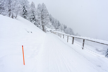 snow path on the way from murren to gimmelwald , murren , switzerland - 673062000